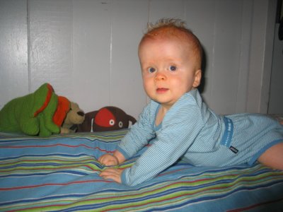 IMG_0215_10_1.JPG