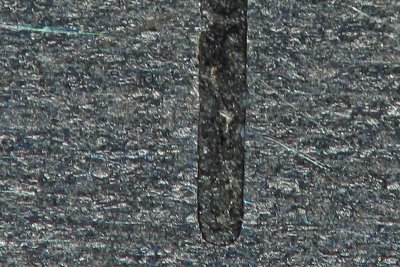 g1/41/504241/3/110031640.FWO1cLzq.jpg