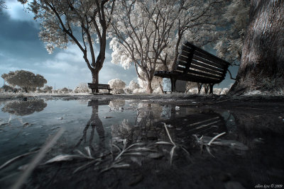 Infrared photography (Canon 20d/300d IR converted)
