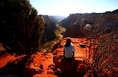 Zion-Observation Point