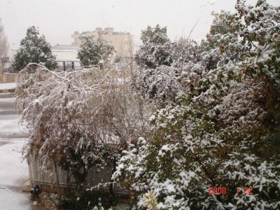 Snow in Amman 30.01.2008 001.jpg