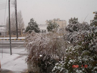 Snow in Amman 30.01.2008 002.jpg