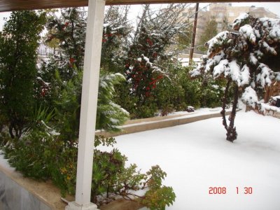 Snow in Amman 30.01.2008 017.jpg