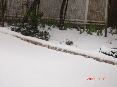 Snow in Amman 30.01.2008 026.jpg