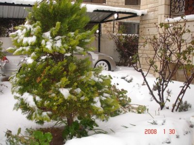 Snow in Amman 30.01.2008 034.jpg