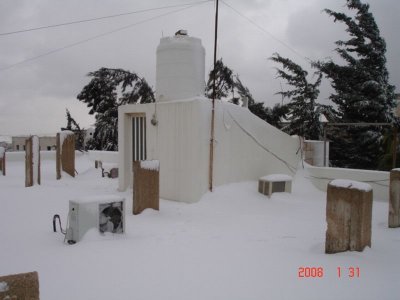 Snow in Amman 30.01.2008 067.jpg