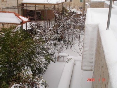 Snow in Amman 30.01.2008 068.jpg