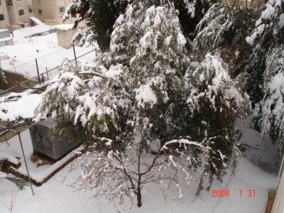 Snow in Amman 30.01.2008 069.jpg