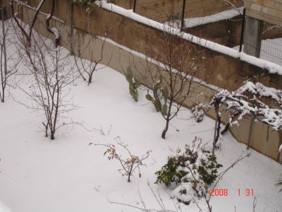 Snow in Amman 30.01.2008 070.jpg