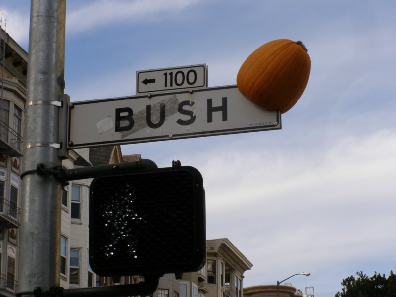 Bush Street Pumpkin