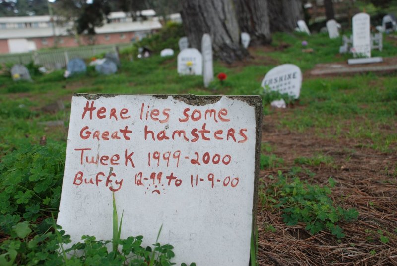 Presidio Pet Cemetery