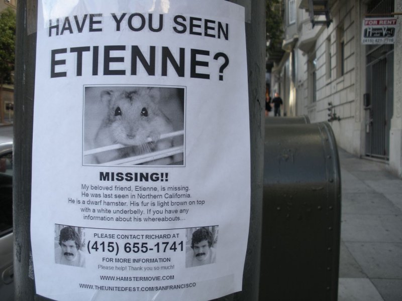 Have you seen Etienne?