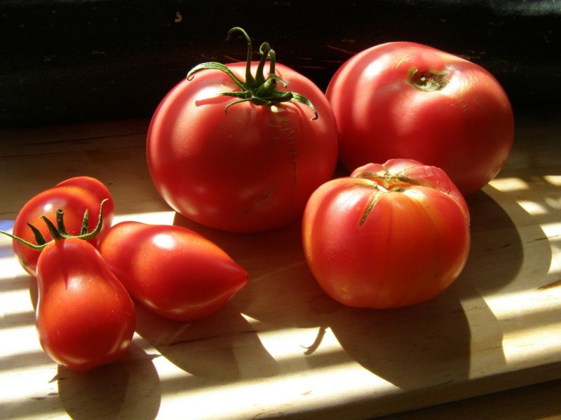 Leonard's Tomatoes