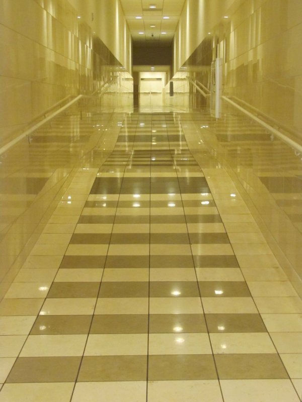 bloomingdale's