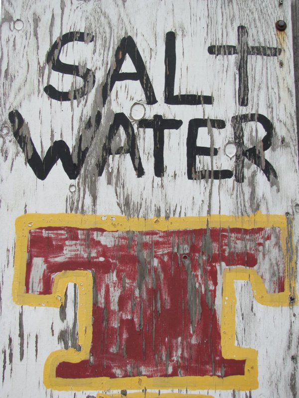 Salt Water Taffy