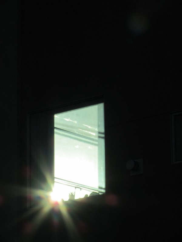 harrison street sunset
