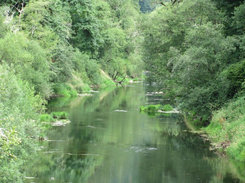 Alsea River