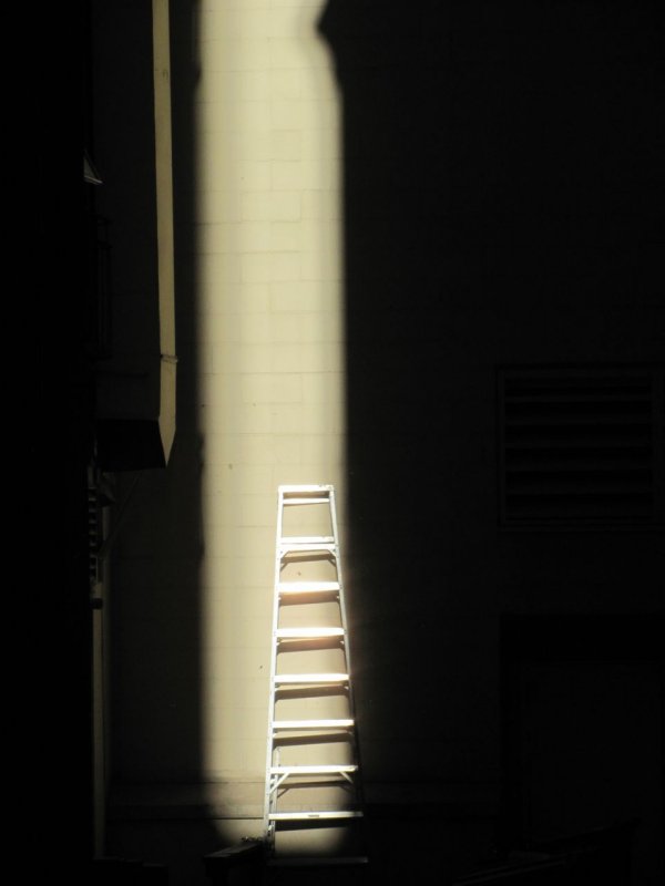 ladder