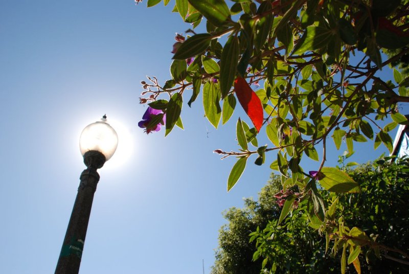 sun light