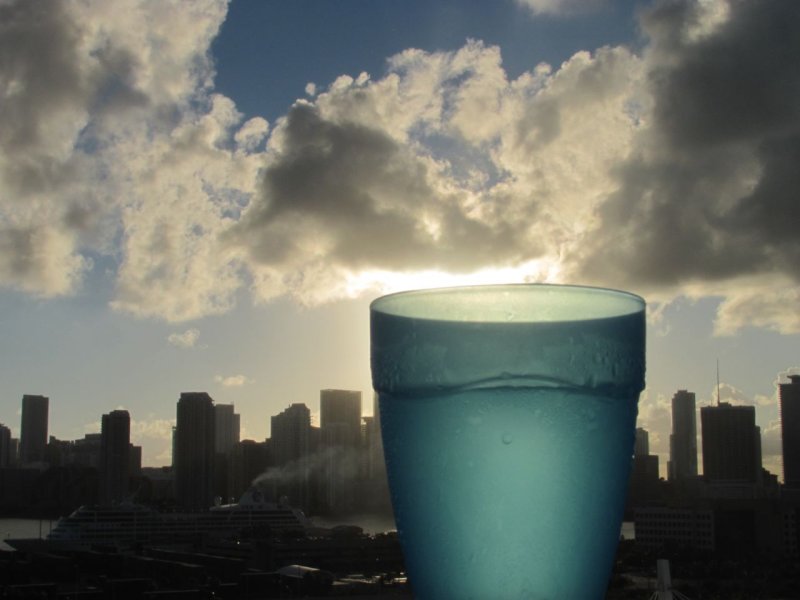 carnival cup
