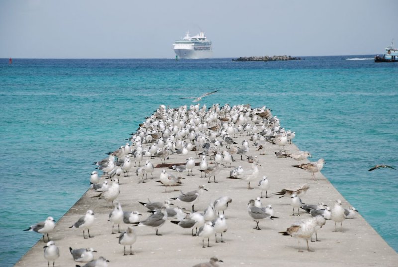 nassau pier