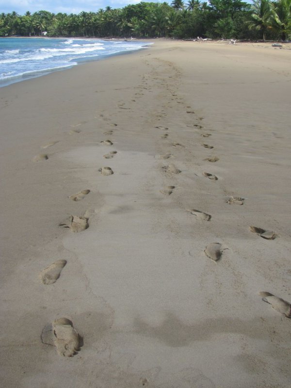 Playa Dorada Footprints
