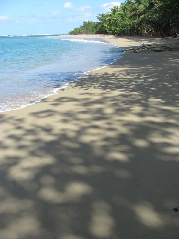 Playa Dorada Shadows
