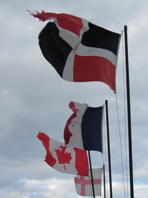 Visitor's Flags