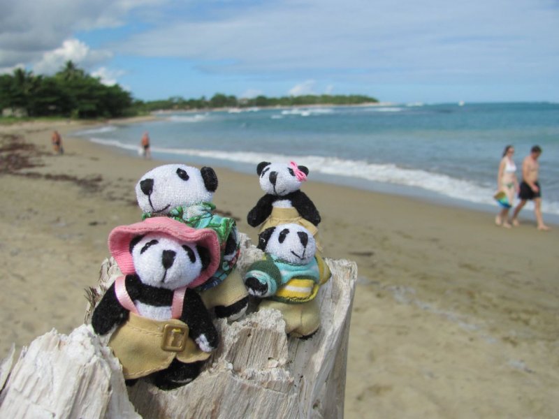 The Pandafords at Playa Dorada