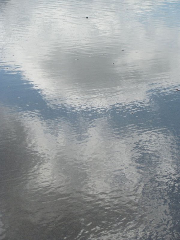 beach reflection
