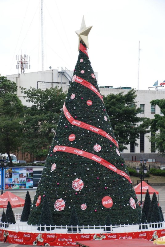 Plaza de Espaa Coca Cola Christmas Tree