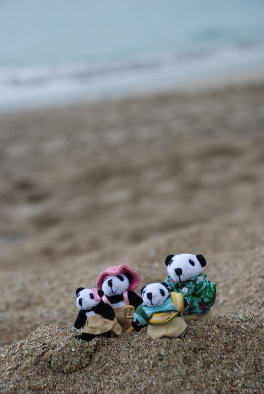 The Pandafords at Playa Dorada