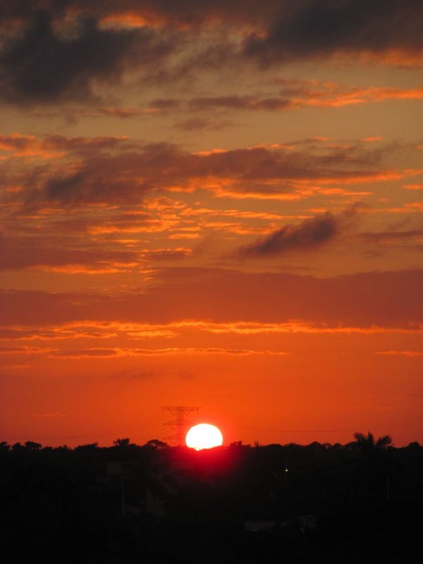 Jungle Sunset