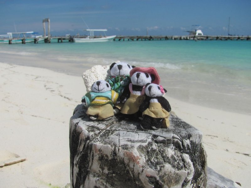 The Pandafords in Puerto Morelos