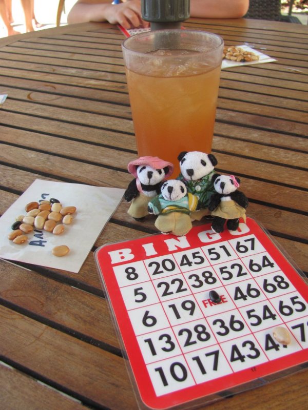 The Pandafords Playing Bingo