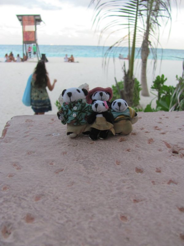 The Pandafords in Playa Del Carmen
