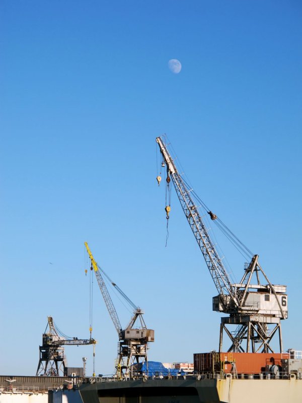 Mission Rock Cranes