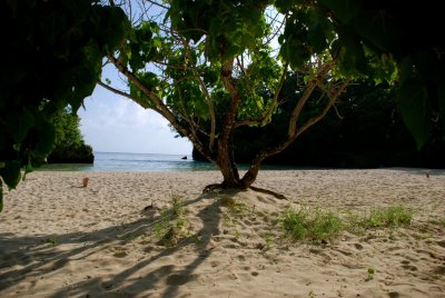 Frenchman's Cove Beach