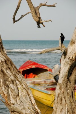 Treasure Beach