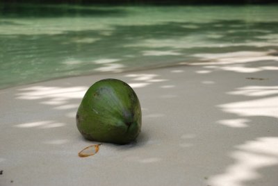 Frenchmans Cove Coconut