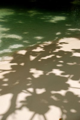 Frenchman's Cove Shadows