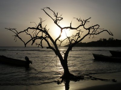 Treasure Beach