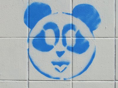 Blue Panda