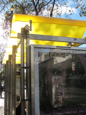 New Pretty Bus Shelter