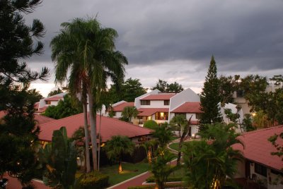 g1/41/570641/3/131618438.DbNDaYln.jpg