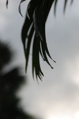 g1/41/570641/3/131718736.Tp17CkUx.jpg