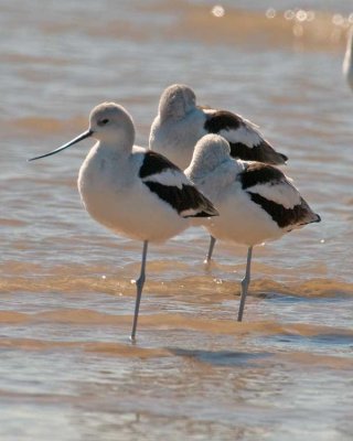 _DSC2924_edited-1.jpg