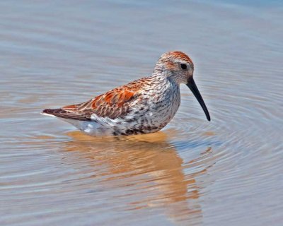 _DSC7017_edited-4.jpg