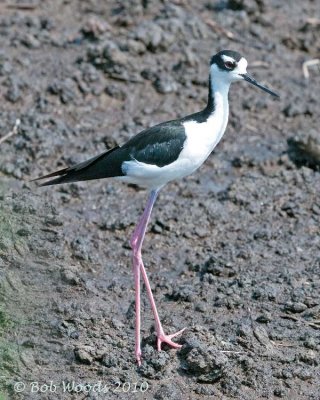 _DSC7650_edited-2.jpg