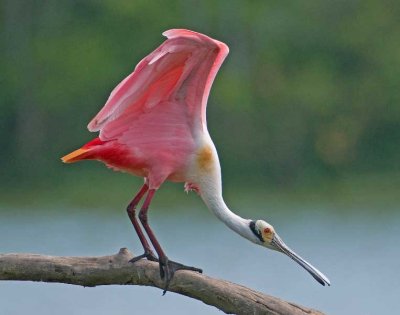 _DSC1060_edited-3.jpg